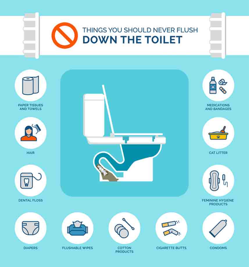 Things you should not flush down the toilet infographic